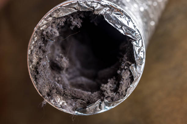 Best Professional Duct Cleaning Services  in Hot Springs, AR