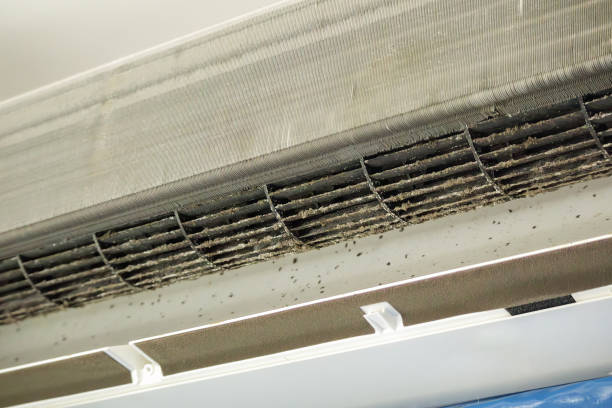 Best Air Duct Cleaning Near Me  in Hot Springs, AR